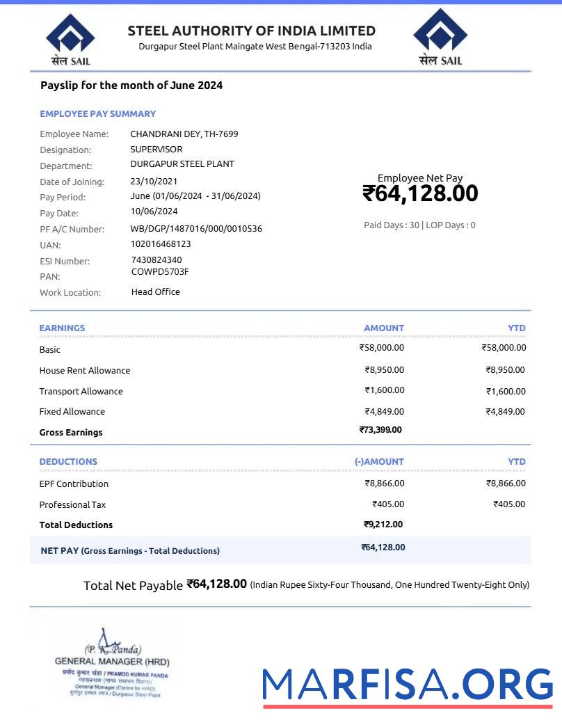 Downloadable Steel Authority of India payslip real example